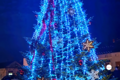 IMG_20251206_194310