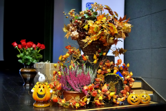 DSC02237