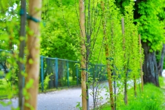 batch_DSC05256