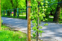 batch_DSC05268