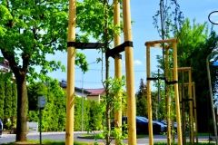 batch_DSC05288