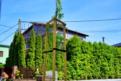 batch_DSC05300