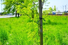batch_DSC05318