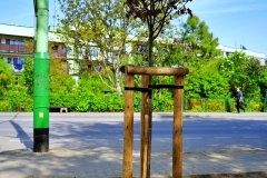 batch_DSC05344