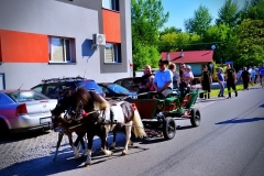 DSC05106